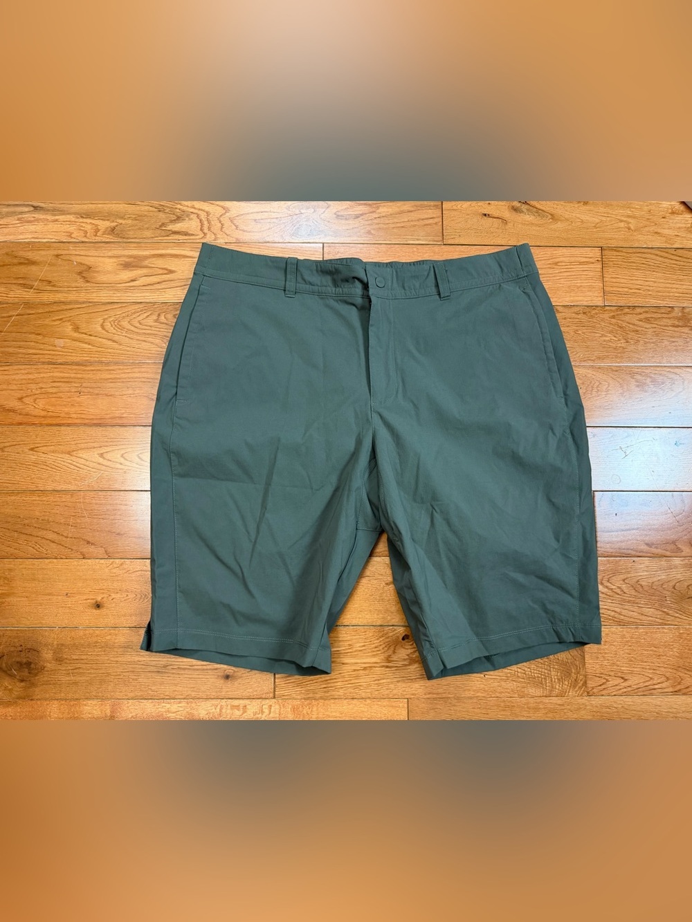 The North Face Men’s Speedlight Shorts NWOt